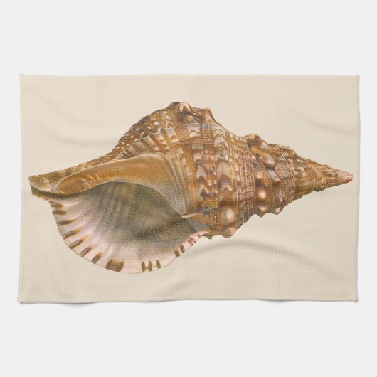 Triton Seashell Shell, Marine Ocean Animal Theedoek (Horizontaal)