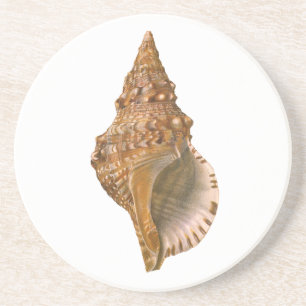  Triton Seashell Shell, Marine Ocean Animal Zandsteen Onderzetter