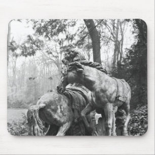 Tritons die twee paarden van de zon groomden in muismat