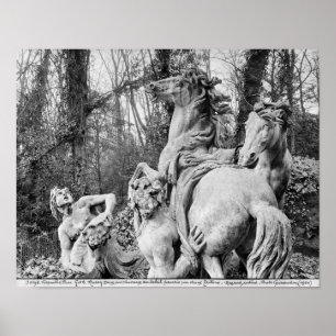 Tritons die twee paarden van de zon groomt poster