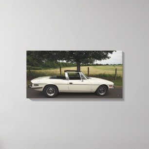 Triumph Stag Canvas Afdruk