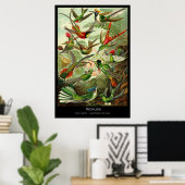 Trochilidae - Bord 99 - Kunstformen der Natur Poster (Thuiskantoor)