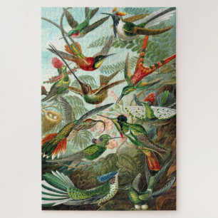 Trochilidae-Kolibris uit Kunstformen der Natur Legpuzzel