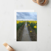 troebele dag narcissen notitiekaartje (Voorkant / Achterkant in situ)