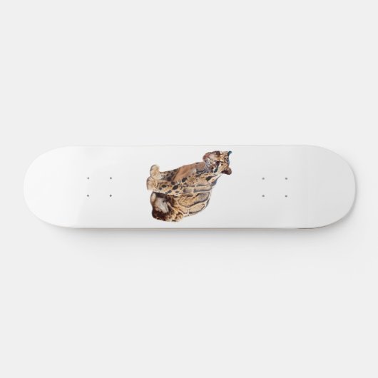 troebele luipfoto oerwoud groot kattedier skateboard (Horizontaal)