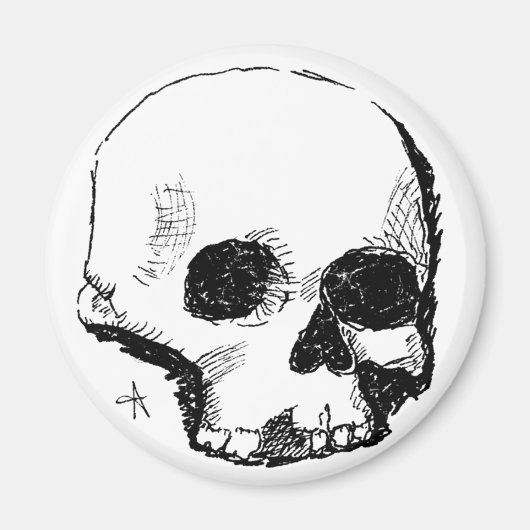 troebele schedel magneet (Voorkant)