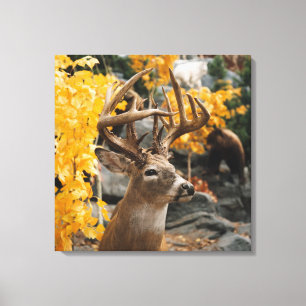Trofee Canvas Afdruk