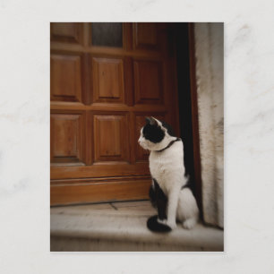 Trogir 16 briefkaart