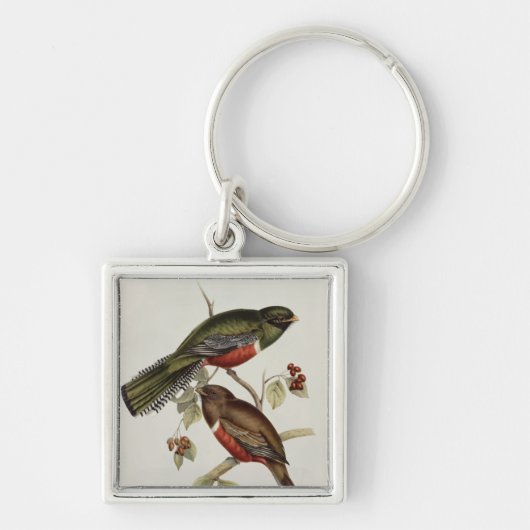 Trogon Collaris Sleutelhanger (Voorkant)