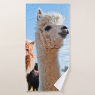 Trois Alpacas drôles