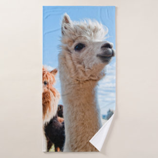 Trois Alpacas drôles
