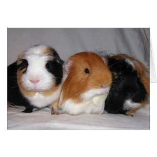 Trois amis
