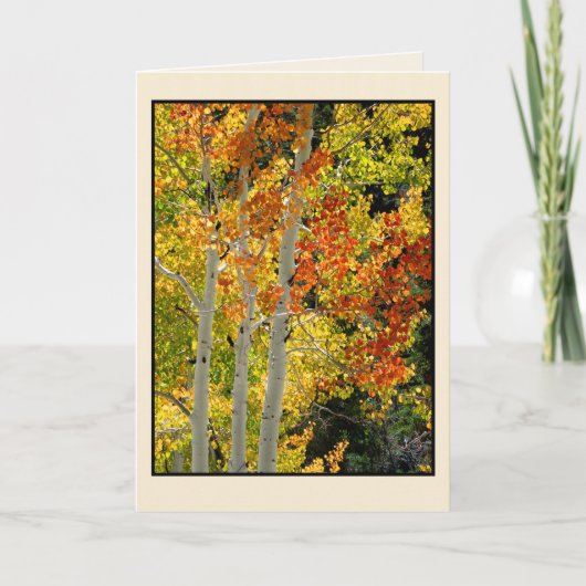 Trois Aspen à l'automne, carte de voeux vierge (Devant)
