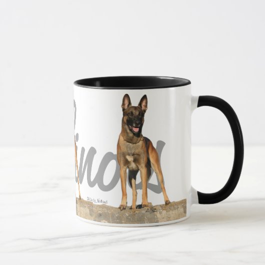 Trois Belge Malinois avec la tasse de nom de race (Droite)