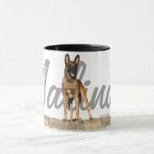 Trois Belge Malinois avec la tasse de nom de race (Centre)