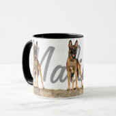 Trois Belge Malinois avec la tasse de nom de race (Devant gauche)