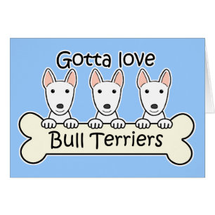 Trois bulls-terrier