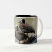 Trois canards sur une tasse de rondin (Devant droit)
