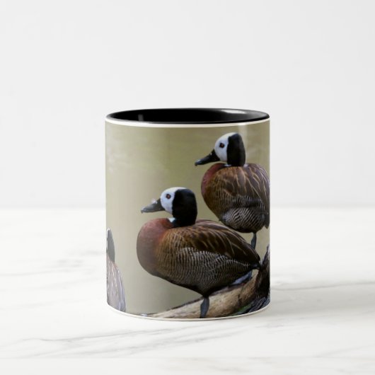 Trois canards sur une tasse de rondin (Centre)