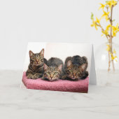 Trois cartes d'Amigo (Fleur jaune)