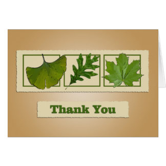 Trois Cartes de remerciements Feuille