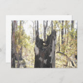 Trois cartes lumineuses (Devant / Derrière)