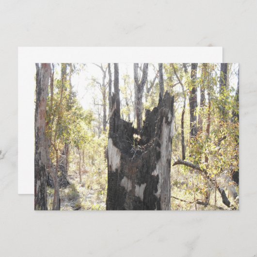 Trois cartes lumineuses (Devant / Derrière)