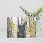 Trois cartes lumineuses (Debout devant)