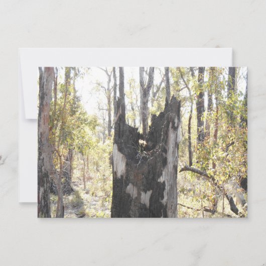 Trois cartes lumineuses (Devant)