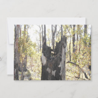 Trois cartes lumineuses