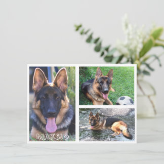 Trois cartes photo et nom