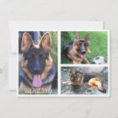 Trois cartes photo et nom (Devant)