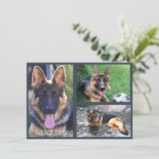 Trois cartes photo et nom