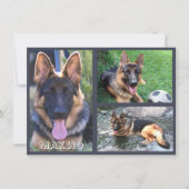 Trois cartes photo et nom (Devant)