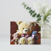 Trois cartes postales Nounours (Debout devant)