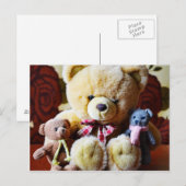 Trois cartes postales Nounours (Devant / Derrière)
