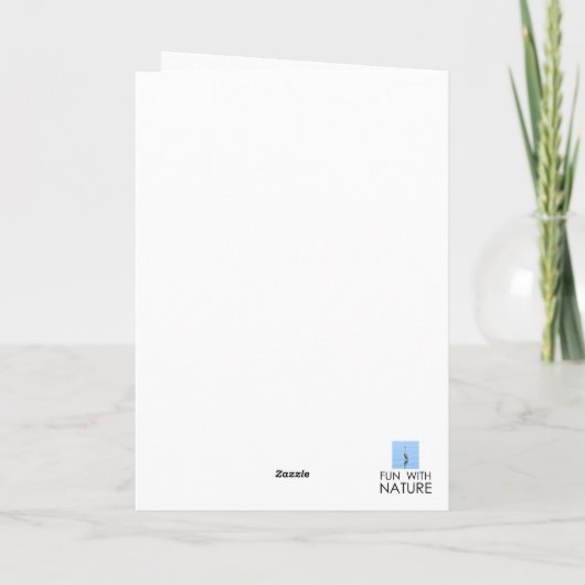 Trois cartes pour notes de poulets (Dos)