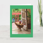 Trois cartes pour notes de poulets (Devant)