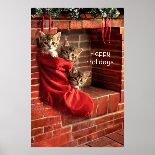 Trois chatons dans une affiche de bas de Noël (Devant)