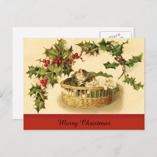 Trois chatons dans une carte postale panier (Devant / Derrière)