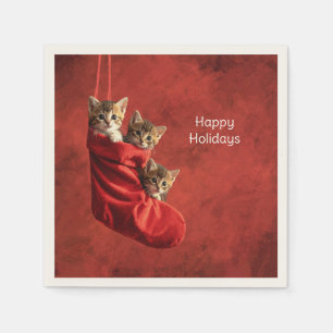 Trois chatons dans une serviette en papier pour ch