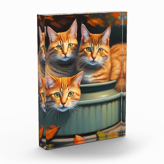 Trois Chats Gingembre Dans Un Pot, Bloc Photo (Gauche)