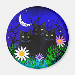 Trois chats noirs au Magnet de nuit