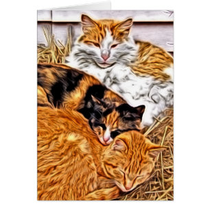 Trois Chats Sleepy, Salutation Vide Toute Occasion