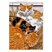 Trois chats somnolents (Devant)