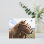 Trois chevaux dans une rangée Carte postale (Debout devant)
