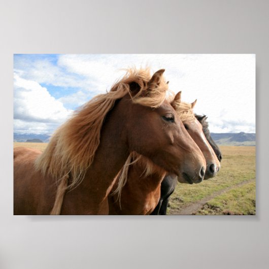 Trois chevaux de suite Poster (Devant)