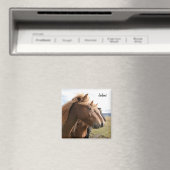Trois chevaux d'Islande en ligne Aimant (In Situ (Lave-vaisselle))