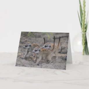 Trois chiots sages - carte de Joyeuses Fêtes