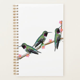Trois colibris perchés sur une branche Floss Silt